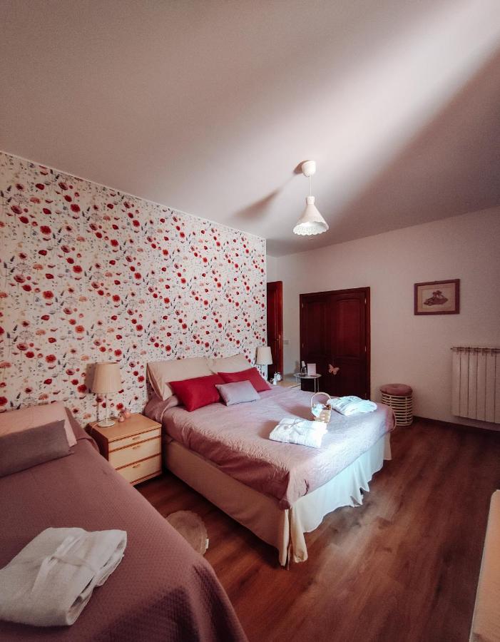 Bed and Breakfast Casale dei ricordi Arce Esterno foto