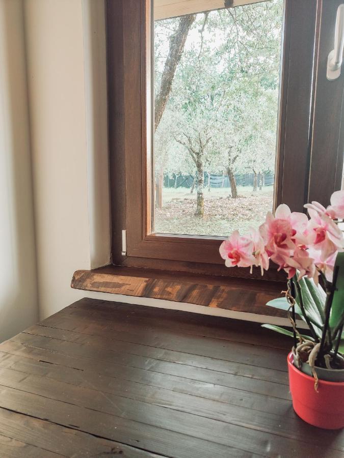 Bed and Breakfast Casale dei ricordi Arce Esterno foto