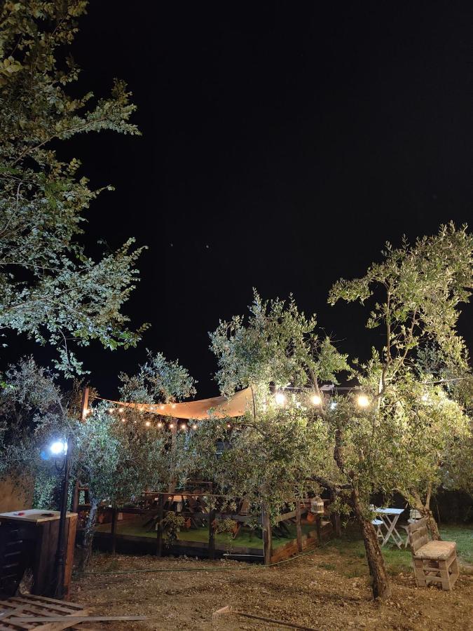 Bed and Breakfast Casale dei ricordi Arce Esterno foto
