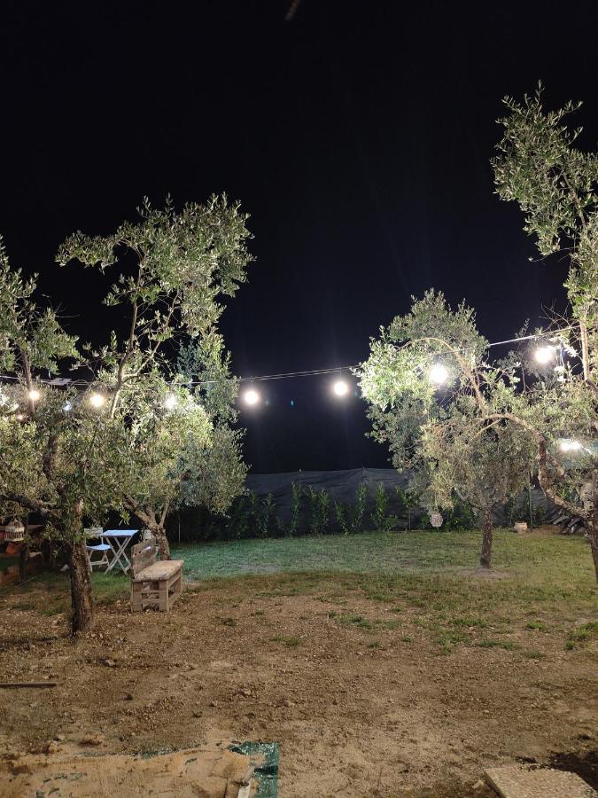 Bed and Breakfast Casale dei ricordi Arce Esterno foto