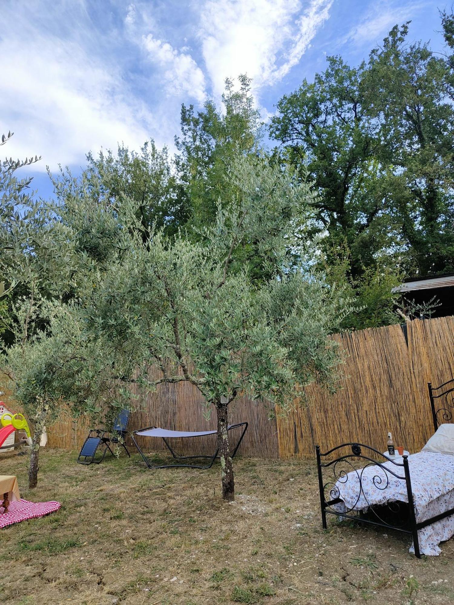 Bed and Breakfast Casale dei ricordi Arce Esterno foto