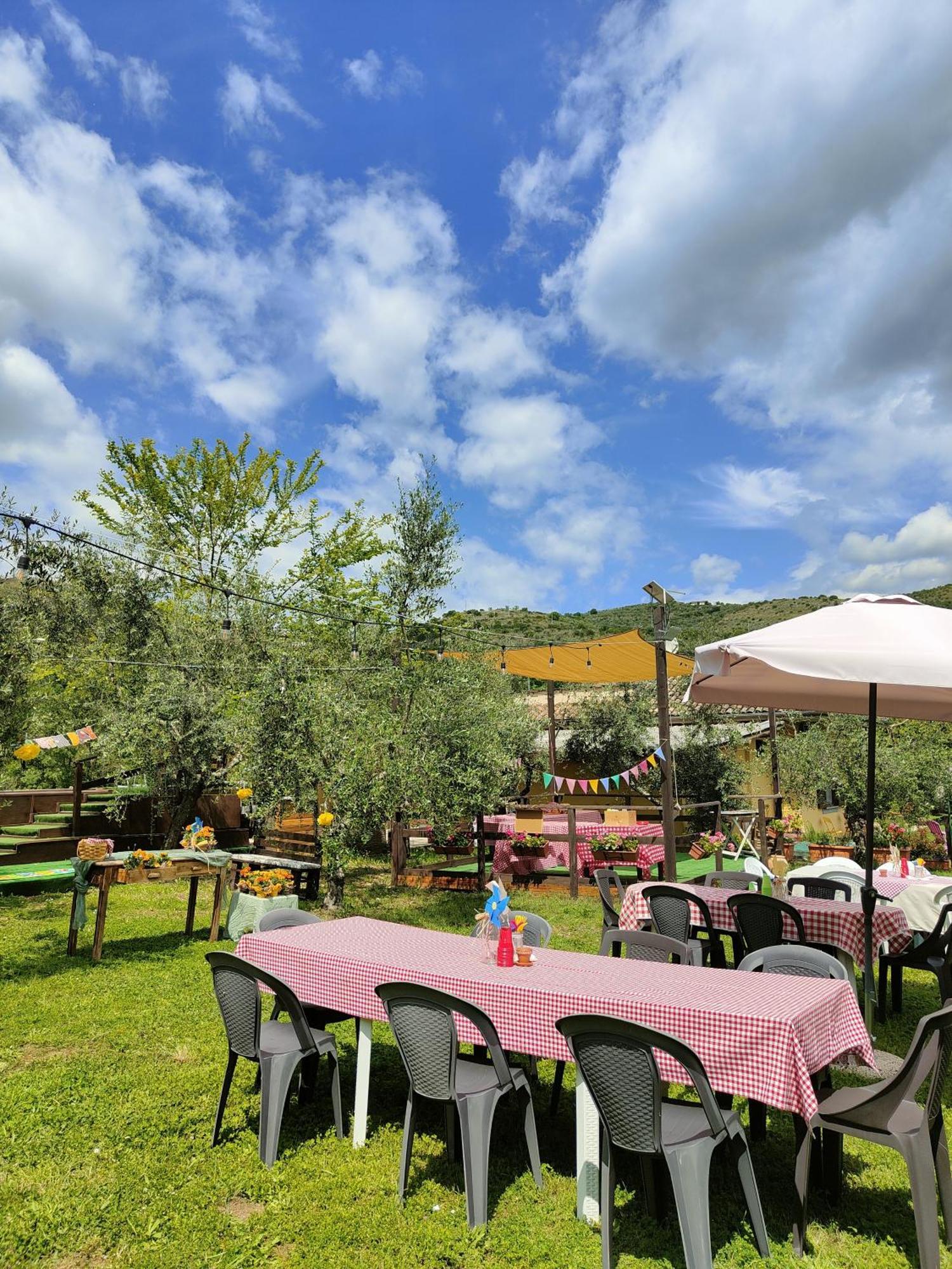 Bed and Breakfast Casale dei ricordi Arce Esterno foto